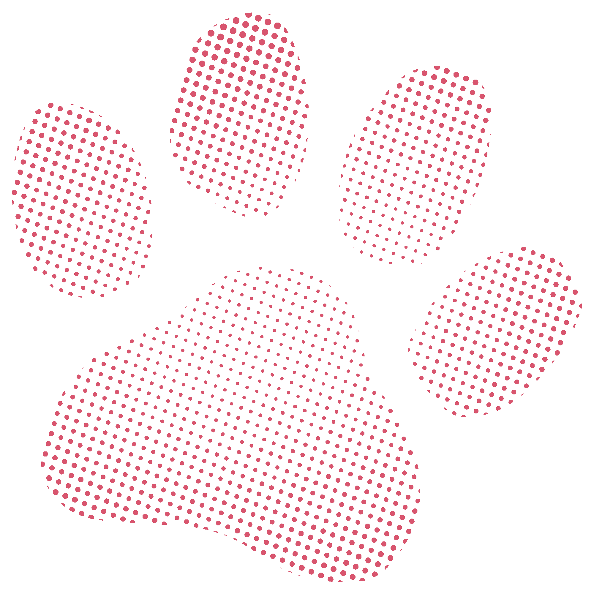 patte d'ours qui signifie avoir un impact positif sur la planète tout en faisant de la communication digitale.